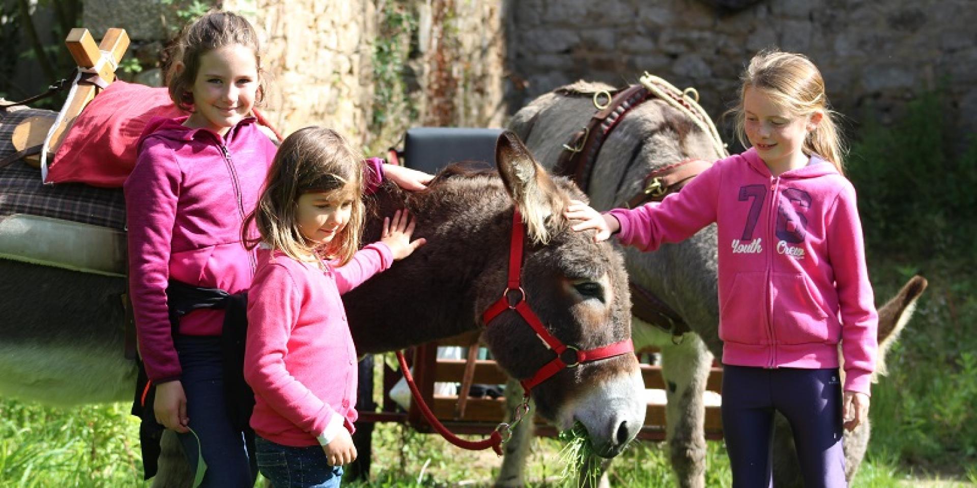 Chasse Aux Couleurs à La Combe Aux Anes