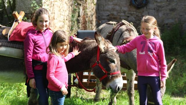 chasse-aux-couleurs-a-la-combe-aux-anes.jpg