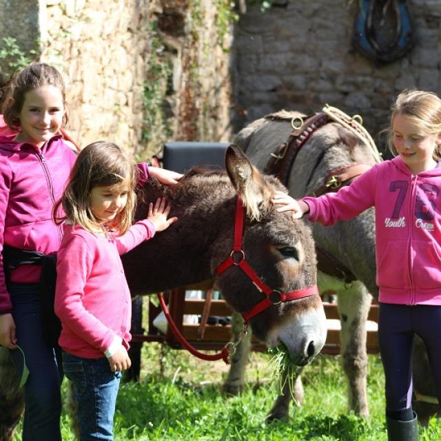 Chasse Aux Couleurs à La Combe Aux Anes