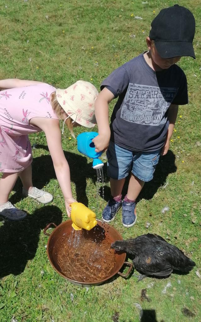 La Combes aux ânes nourrissages des poules