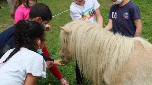 La Combes aux ânes nourrissage des poneys