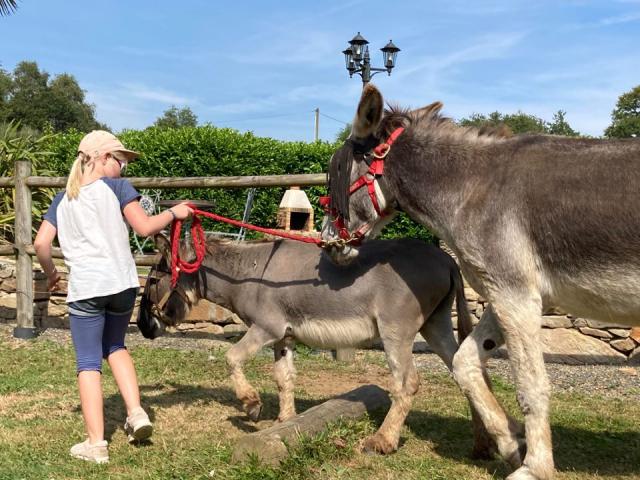 Parcours De Maniabilité