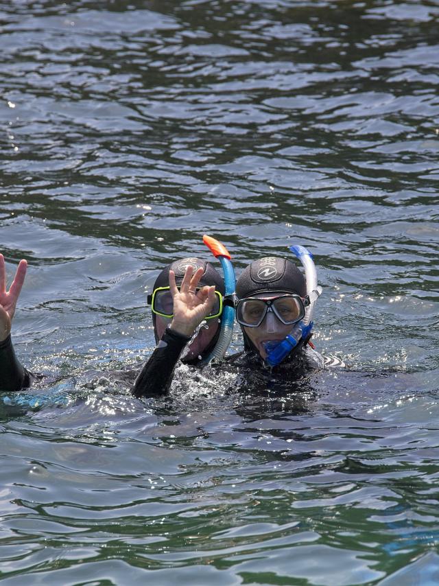 Rand'eau palmée | Cap Trebeurden