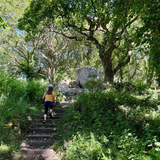 Vallée de Goas Lagorn - Beg Léguer