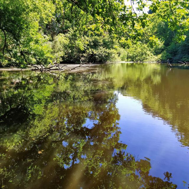 Vallée des Traouïero - Trégastel