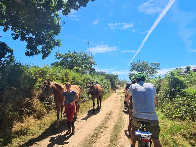 Les vélos de la Baie