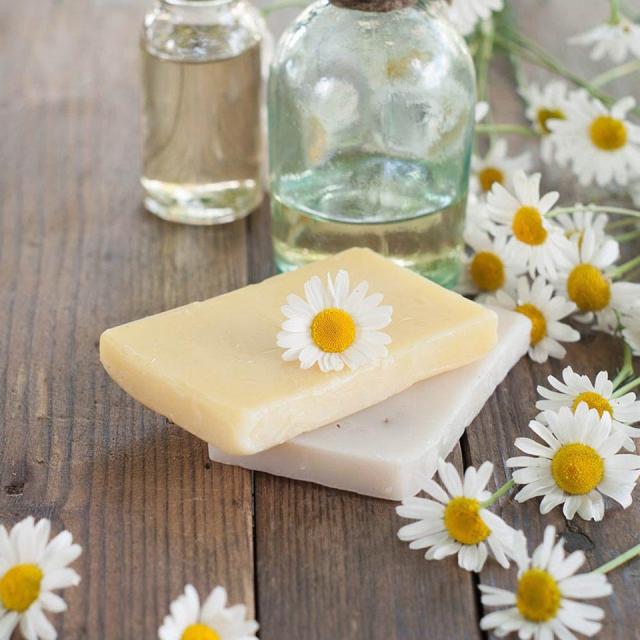 Rendez-vous Eco naturel