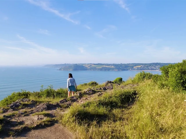Le Grand Rocher - Plestin-les-Grèves