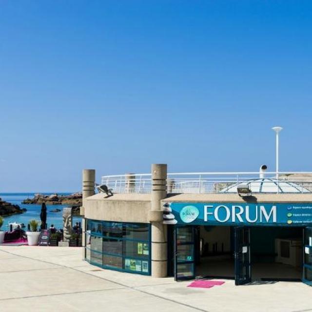 Forum