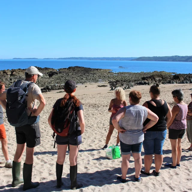 Visite guidée de Toun Nature - Plestin-les-Grèves