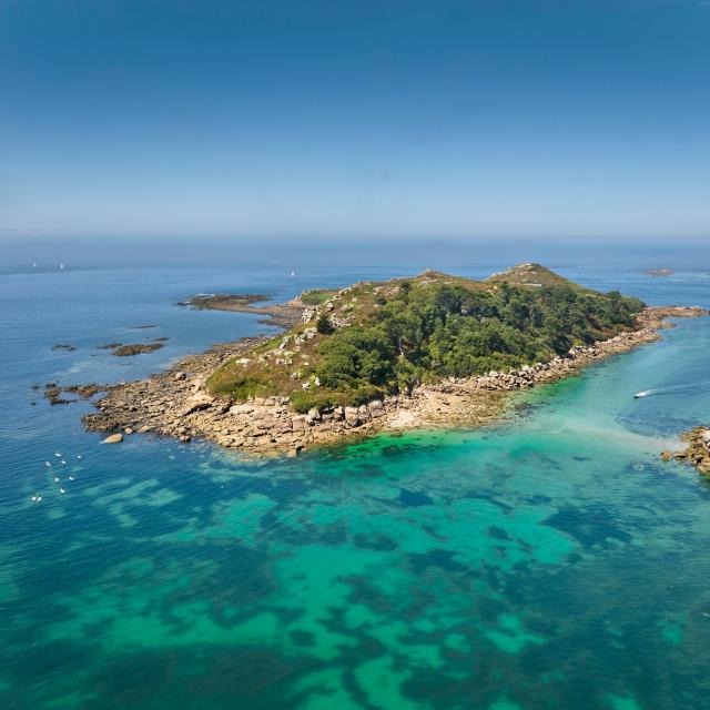 Ile Milliau - Trébeurden