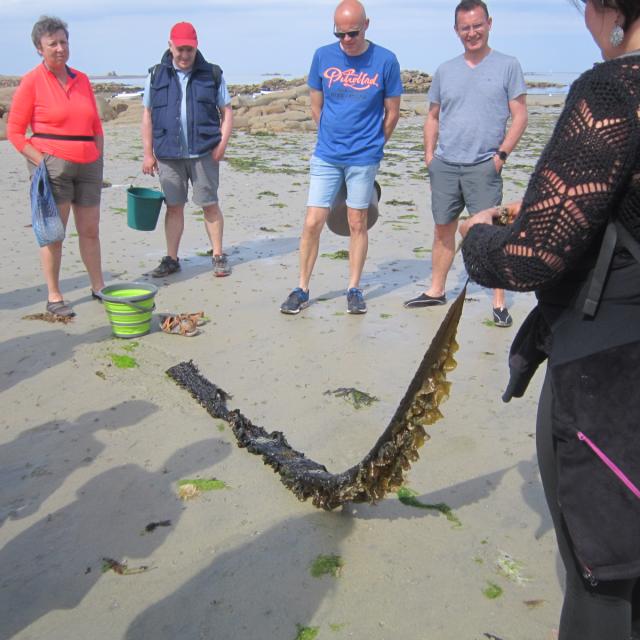 Laetita Crnkovic_Zero dechet tregor (3)