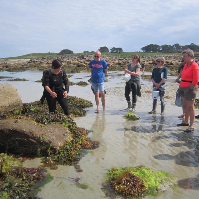 Laetita Crnkovic_Zero dechet tregor (4)