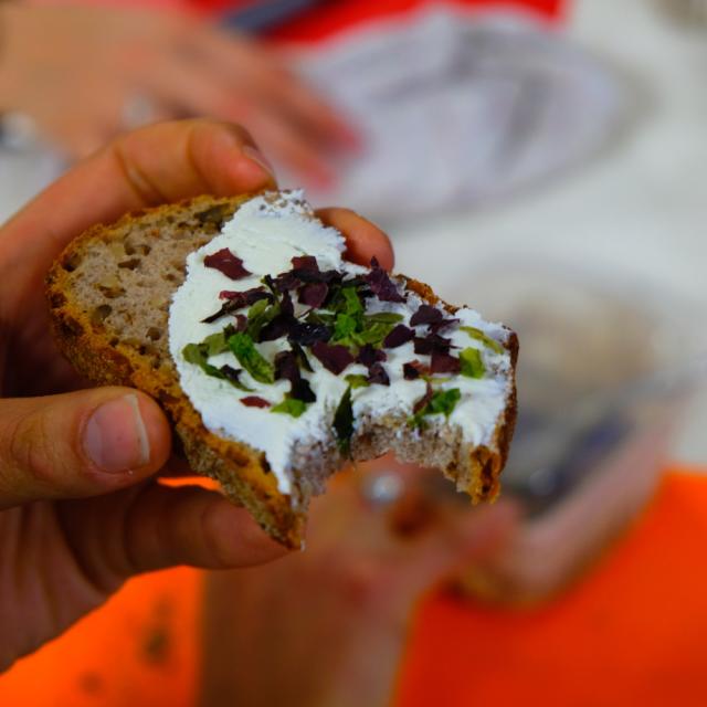 Laetita Crnkovic_Zero dechet tregor (9)