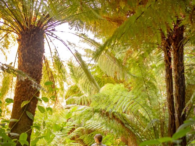 destinatio-avril-@Plouguiel jardin de Kestellic - Nicolas Toutain