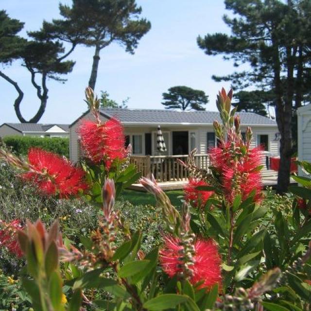 Camping de Tourony - trégastel