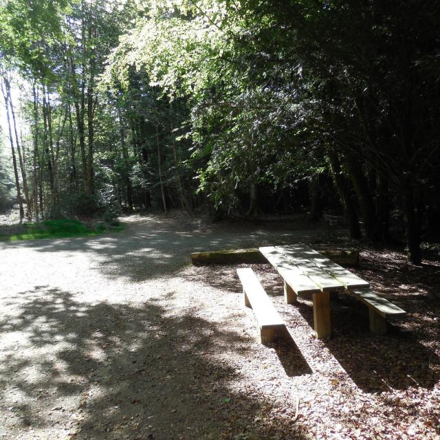 Areal des Forsthauses von Beffou _ Antoine Grossemy