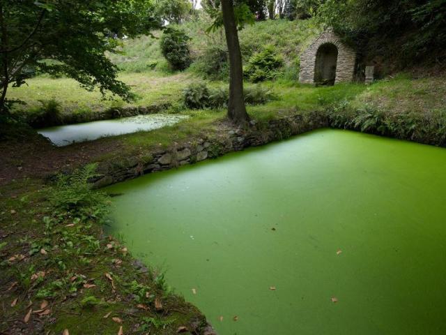 Routoirs-de-Convenant-Diuzet-Hengoat