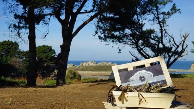 Ty Gouffre - Restaurant à Plougrescant