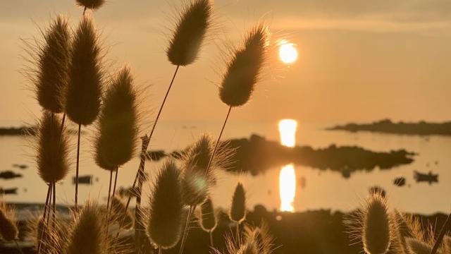 Instagram #cotedegranitrose