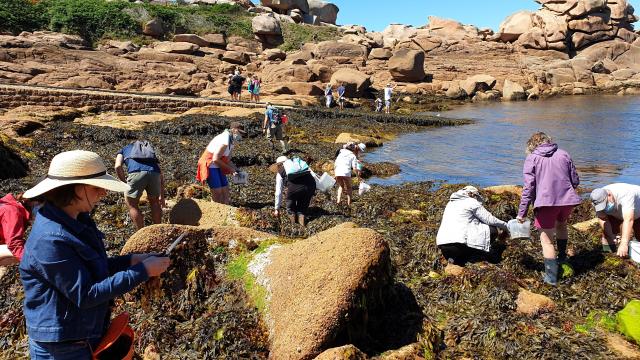 Algae - discover cooking and cosmetics - Escapade Glaz - August 2020 (10)