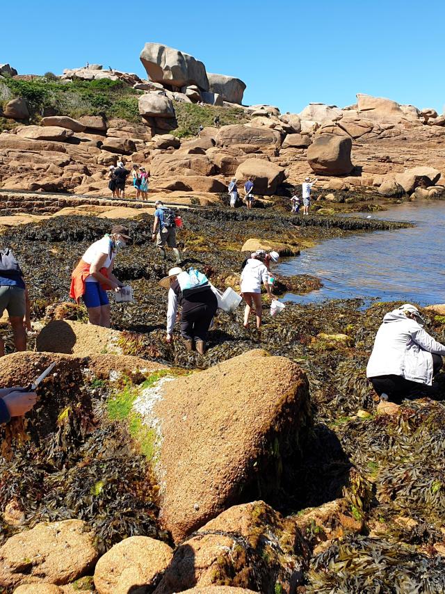 Algae - discover cooking and cosmetics - Escapade Glaz - August 2020 (10)