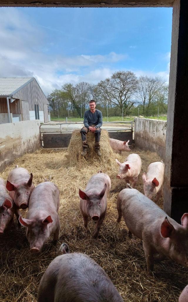Visite commentée de la Ferme de Kernéan - Elevage porcin bio à Pleumeur-Bodou