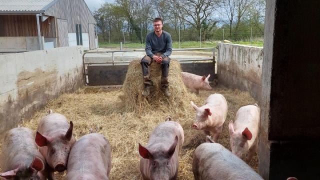 Visite commentée de la Ferme de Kernéan - Elevage porcin bio à Pleumeur-Bodou
