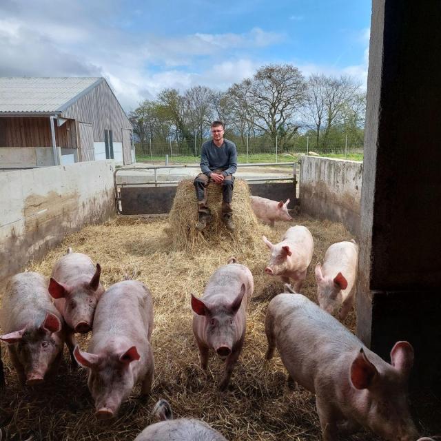 Visite commentée de la Ferme de Kernéan - Elevage porcin bio à Pleumeur-Bodou