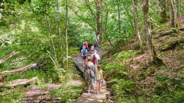 Vallee Traouieroalamoureux 3