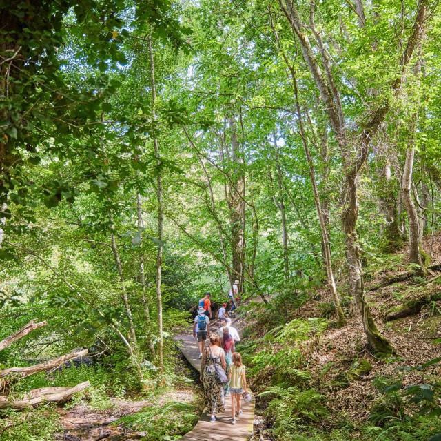 Vallee Traouieroalamoureux 3