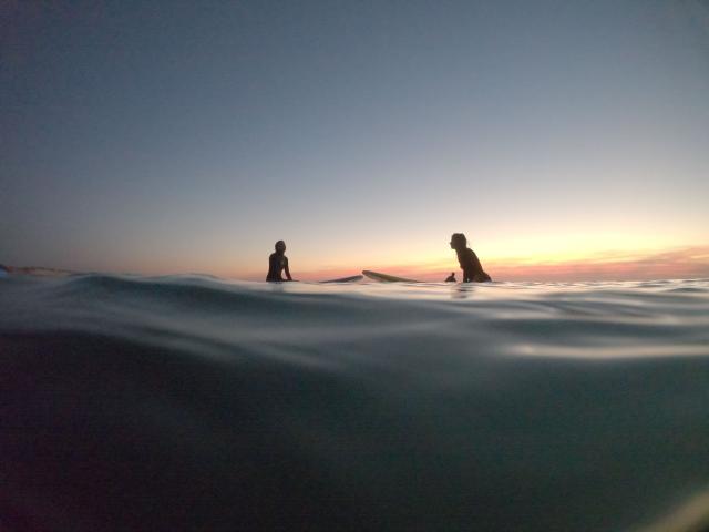 Papageientaucher Surf School 2