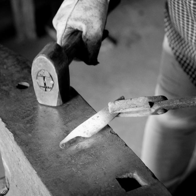 Credit Alain Le Bourdonnec