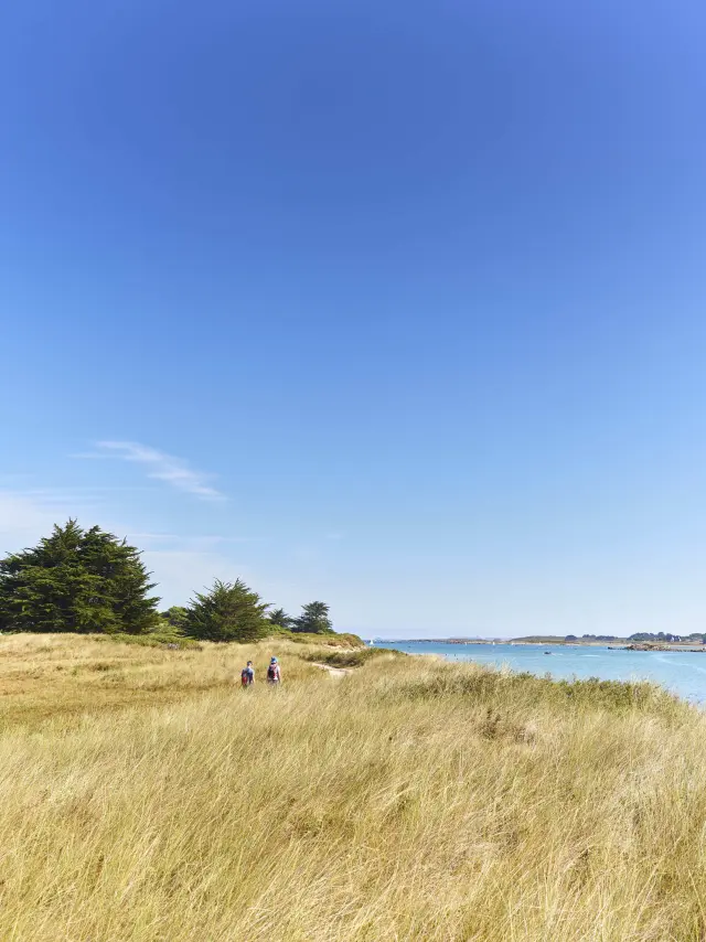Rando sur l'Ile Grande - Pleumeur-Bodou