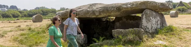 Allée couverte de Kerguntuil - Trégastel