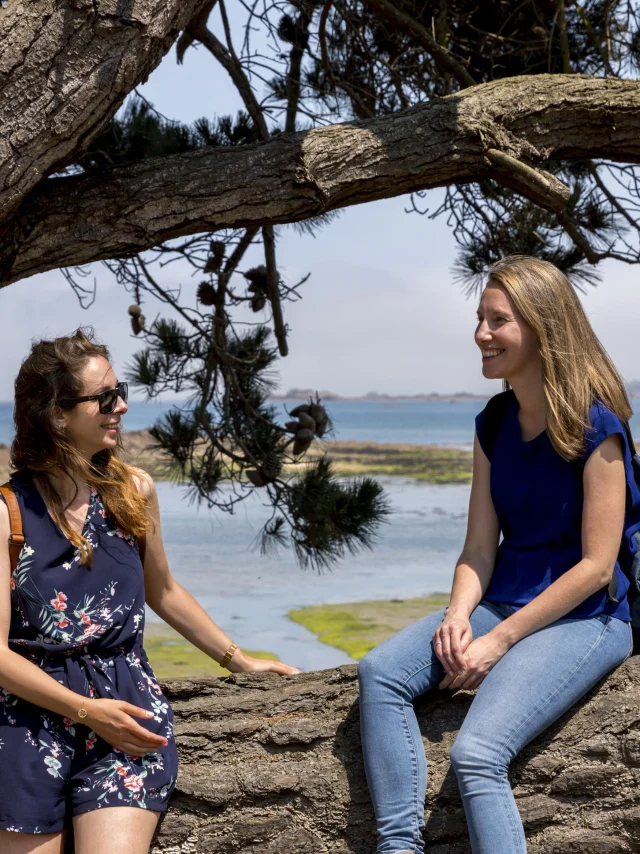 La Roche Jaune Studio Jezequel 2