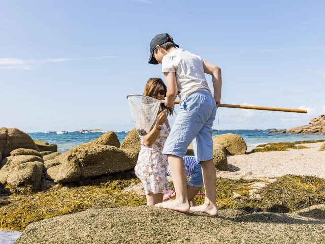 136 Sb Trebeurden Castel Studio Jezequel 2023