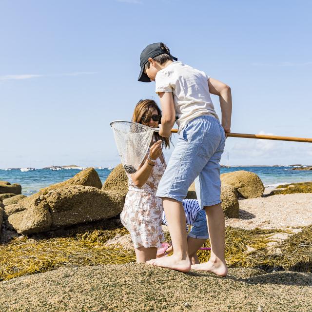 Pêche à pied en famille