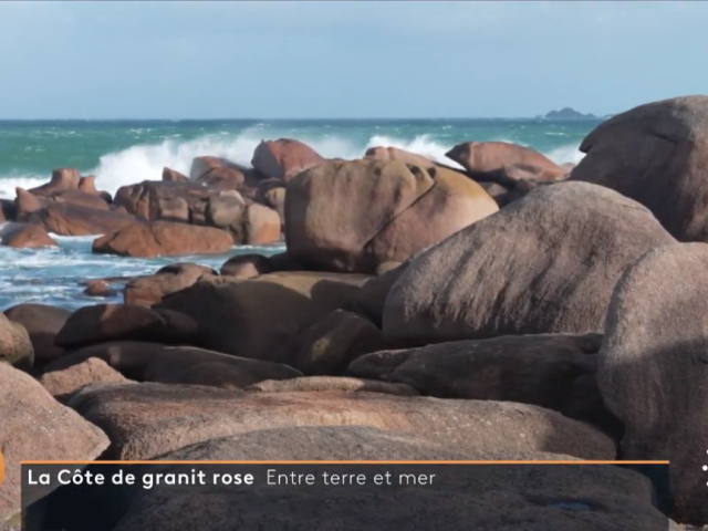 Reportage France 2 - Télématin