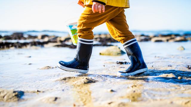 Child Fishing On Foot In Port Blanc 2