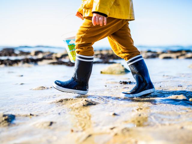 Child Fishing On Foot In Port Blanc 2