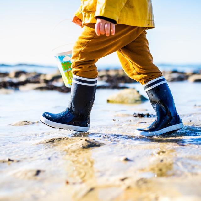 Child Fishing On Foot In Port Blanc 2