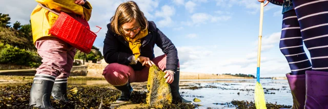 Pêche à pied en famille à Port Blanc - Penvénan