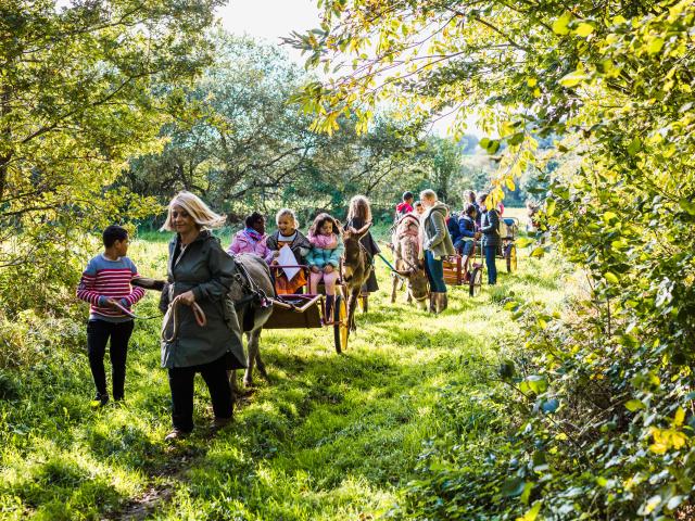 La Combe Aux Anes A Lanvellec 2