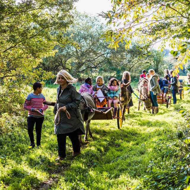 La Combe Aux Anes A Lanvellec 2