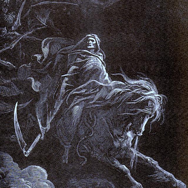 Lankou Sur Son Cheval @belisairhouse