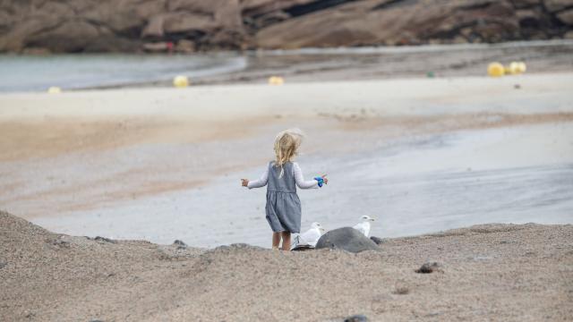 Beach Greve Rose 2 1