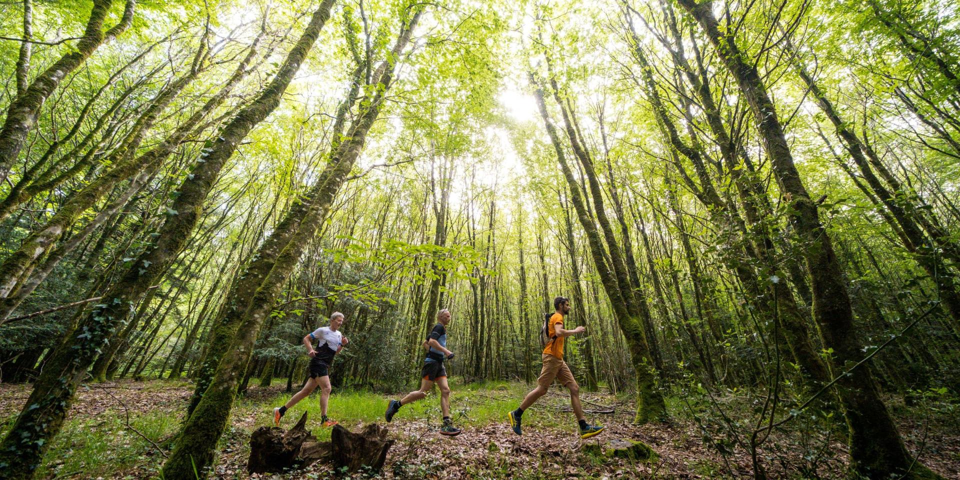 Trail Beffou Simon Pouyet 2