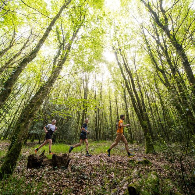 Trail Beffou Simon Pouyet 2