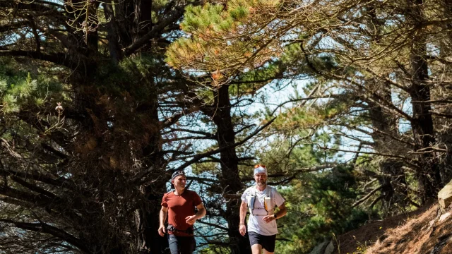 Trail Sentier Pors Mabosimon Pouyet